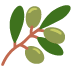 :olive: :olive: